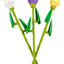Tulipanes