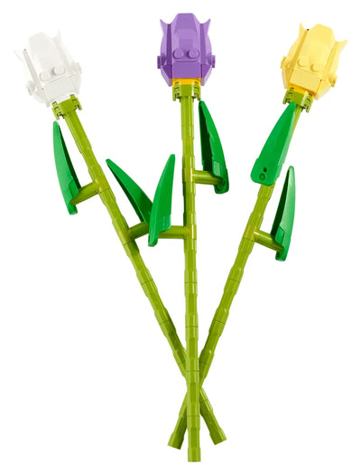 Tulipanes
