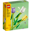 Tulipanes