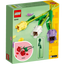 Tulipanes