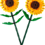 Girasoles