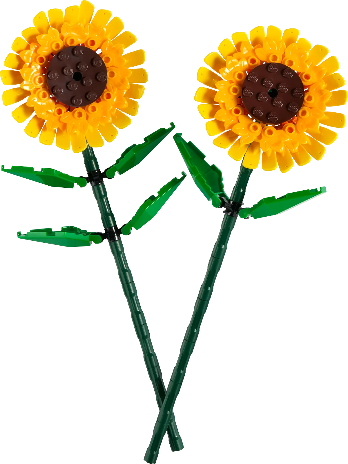 Girasoles