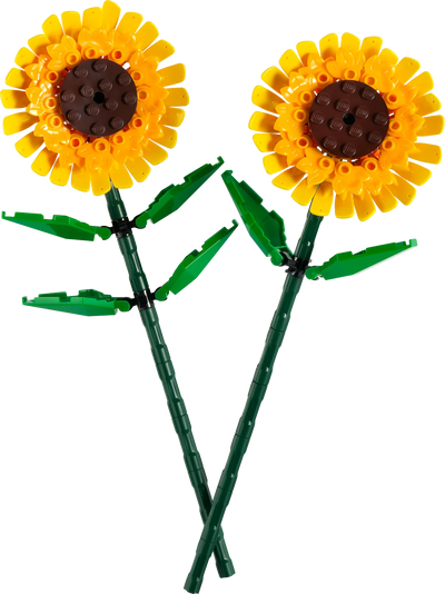Girasoles