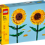 Girasoles