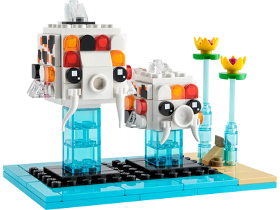 Carpa Koi