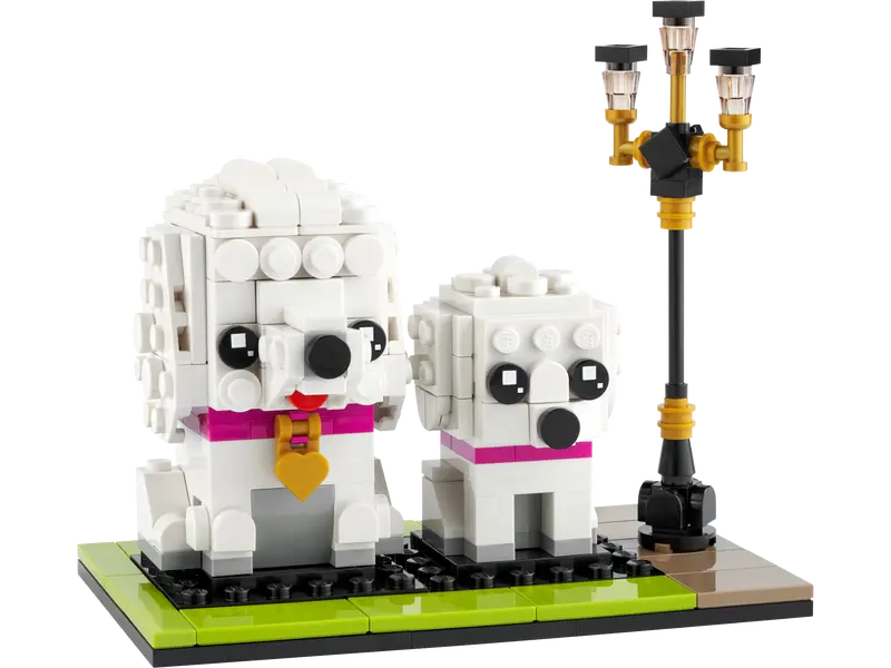 Caniche