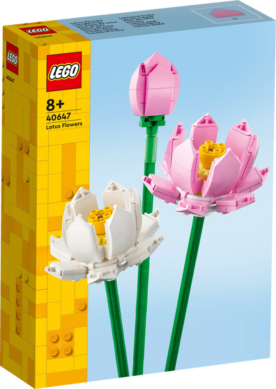 Flores de Loto