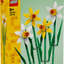 Narcisos