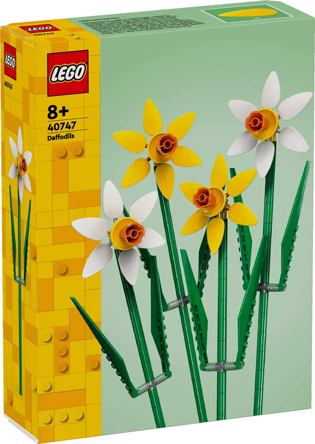 Narcisos