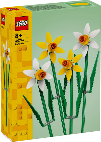 Narcisos
