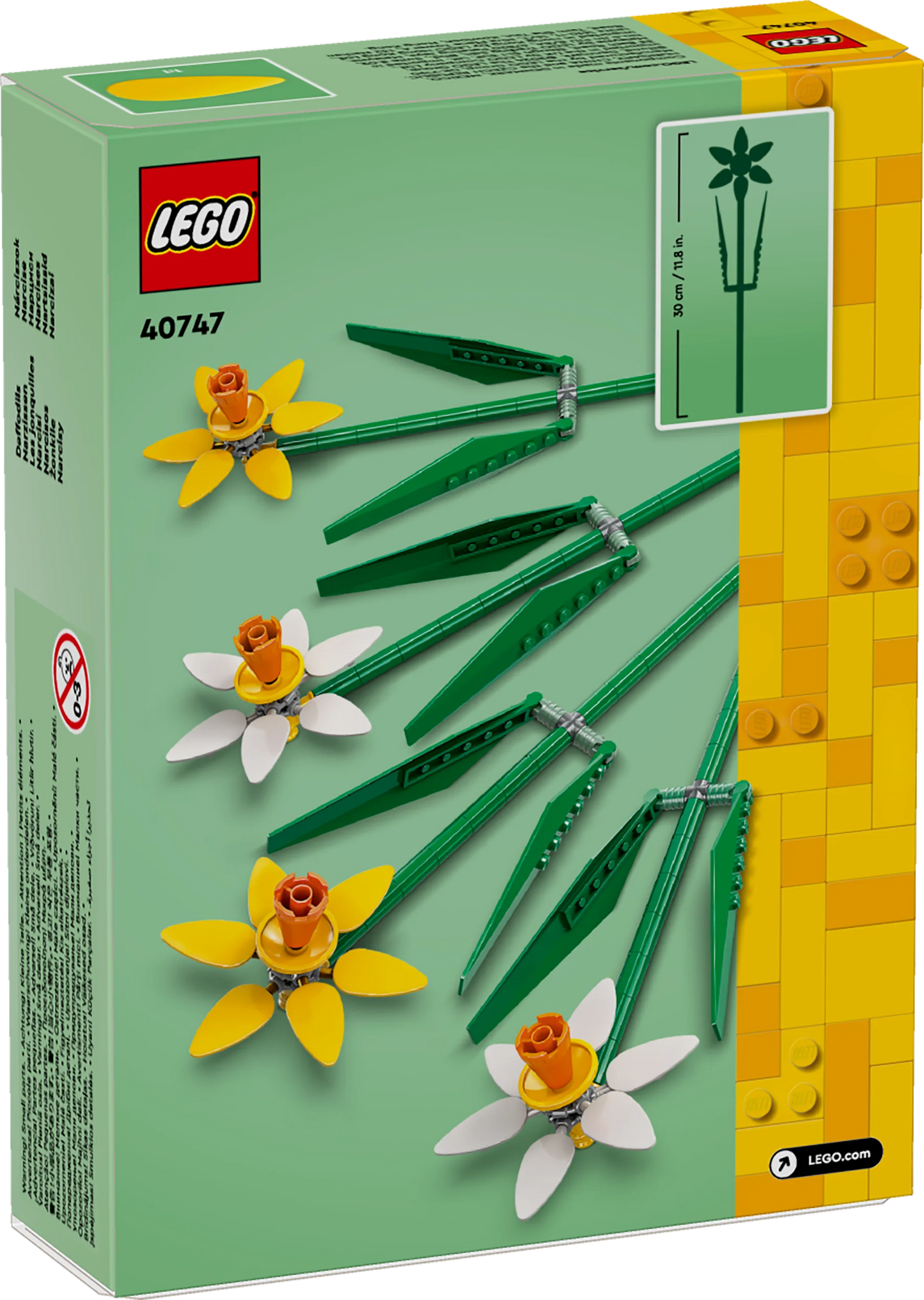 Narcisos