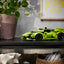 Lamborghini Huracán Tecnica