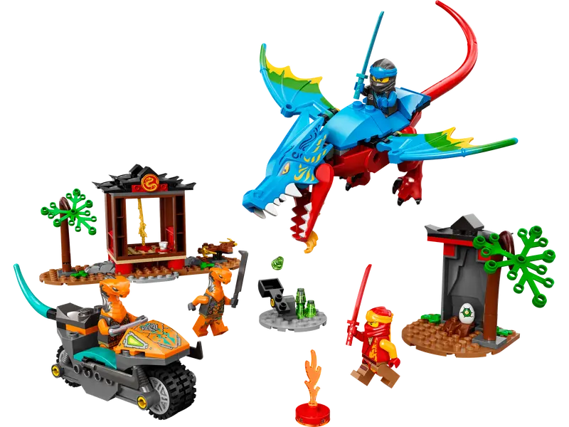 Templo del Dragón Ninja