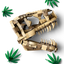 Fósiles de Dinosaurio: Cráneo de T. rex